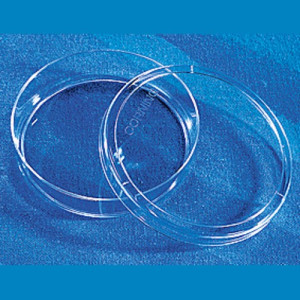 Zellkultur-Petrischale aus PS Innen-: 52,7 mm / Außen-: 60 mm / Höhe: 15 mm / Arbeitsvolumen: 5 ml / Wachstumsfläche: 21,5 cm&sup2; / Einheit: 300