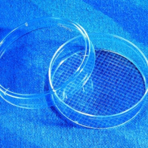 Zellkultur-Petrischale aus PS Innen-: 52,7 mm / Außen-: 60 mm / Höhe: 15 mm / Arbeitsvolumen: 5 ml / Wachstumsfläche: 21,5 cm&sup2; / Einheit: 300
