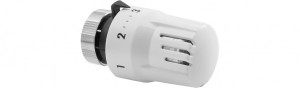 HG-TEC Thermostatkopf fest mit F&uuml;hler H 75, Anschlussgewinde M 30 x 1,5