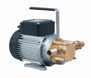 Calpeda Werkstattpumpe WP 15 230V Impellerpumpe f&uuml;r Hei&szlig;wasser und Heiz&ouml;l