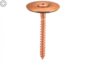 AS Spenglerschrauben CU 4.5 x 100 mm Platte 25 mm, mit Torx