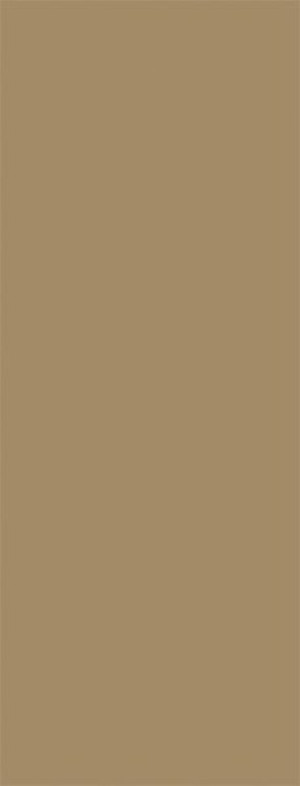 Duschr&uuml;ckwand (Uni Mocca) BxHxT: 1200x2500x3mm