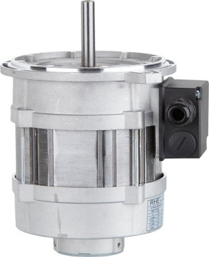Gebl&auml;semotor Riello 3006716