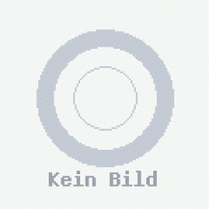 Bridgestone 215/65 R16C LM-18 C 106T VAN-Transporter-Winterreifen