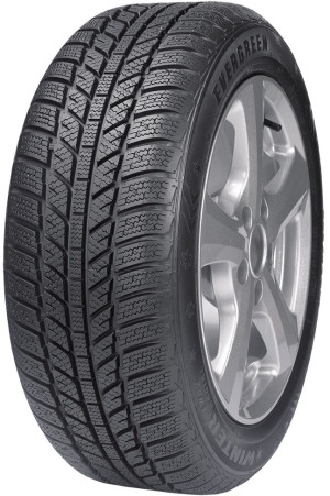 Evergreen 205/55 R16 EW-62 94H Winterreifen