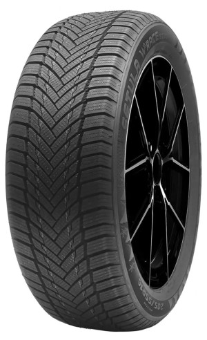 Rotalla 185/70 R14 Setula W Race S130 88T Winterreifen