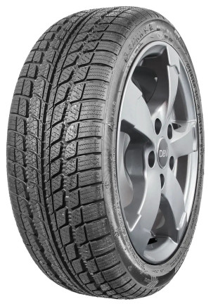 Sunny 205/65 R16C NW103 107R VAN-Transporter-Winterreifen