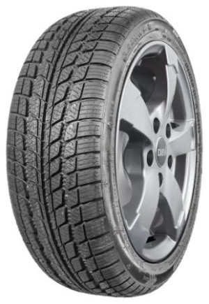 Sunny 205/65 R16C NW103 107R VAN-Transporter-Winterreifen