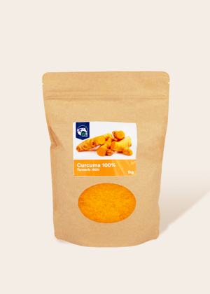 Curcuma 1kg cheval Reverdy