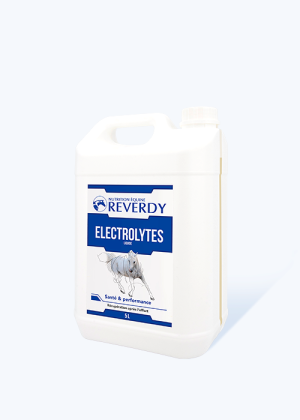 Électrolytes Liquide 5L complément réhydratant cheval - Reverdy