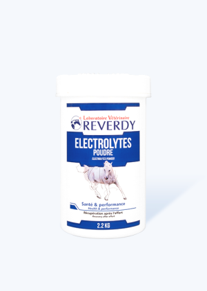 Électrolytes Poudre 2,2kg complément réhydratant cheval - Reverdy