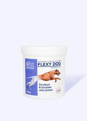 Flexy Dog articulation chien 700g - Reverdy