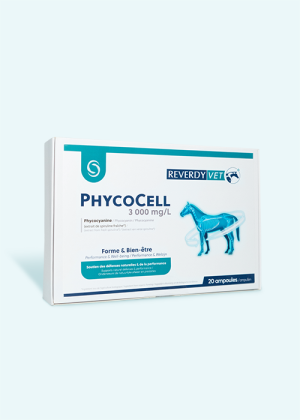 PhycoCell 20 ampoules | ReverdyVet