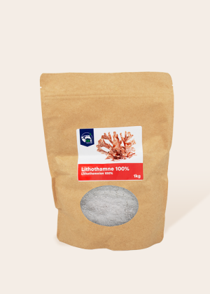 Lithothamne 1kg cheval Reverdy