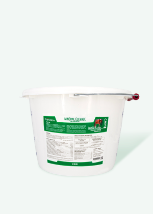 Minéral Élevage 12,5kg cheval - Reverdy