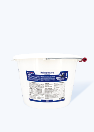 Minéral Oligovit 10kg cmv cheval - Reverdy