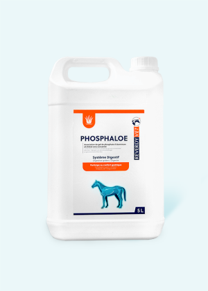 Phosphaloe 5L | ReverdyVet