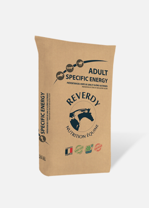 Adult Specific Energy Coups de sang et ulcères cheval - Reverdy
