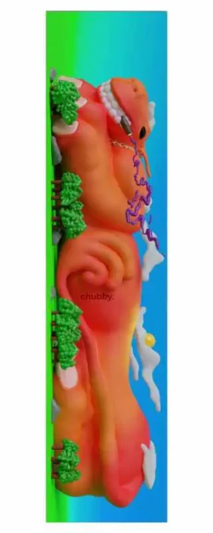 Chubby griptape Yonktape | papier ścierny do hulajnogi wyczynowej