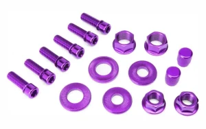 Salt zestaw śrub nakrętek i boltów BMX | Purple