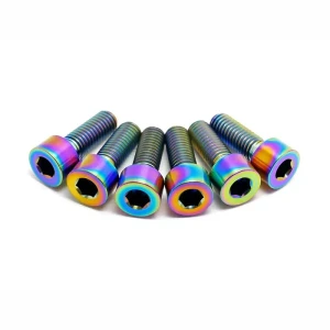TLC Titanium Fit/S&M M8 śruba zacisku / wspornika | Oil Slick