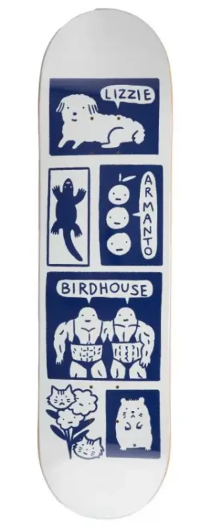 Birdhouse Pro Deck / blat do deskorolki | Armanto Catalina