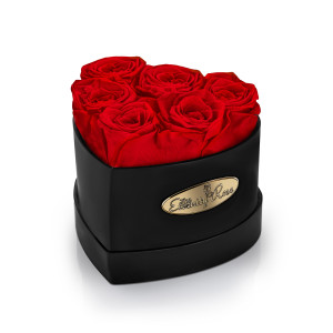6 Konservierte Rote Rosen – Schwarze Herzbox