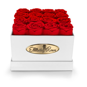 16 Konservierte Rote Rosen – Quadratische Präsentationsbox in Weiß