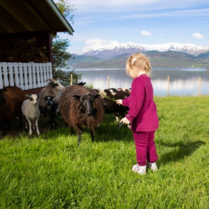 Safa Flossy Bukse Cerise 70
