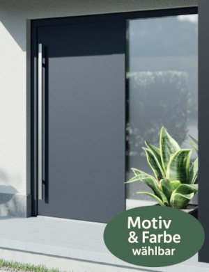 TorOne HTS Stahl-Aluminium Haustür - Wählen Sie Ihr Tür Motiv