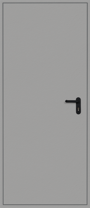 Ryterna RD40 Nebeneingangstüre - RAL 9006 strukturiert