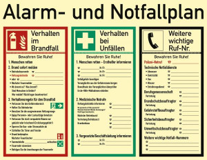 Dreifke&reg; Sicherheitsaushang Alarm- und Notfallplan | PVC 48x62 cm | langnachl...