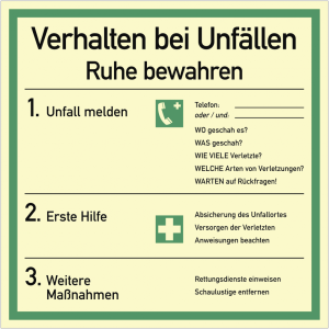 Dreifke&reg; Aufkleber Verhalten bei Unf&auml;llen ISO 7010, Folie, langnachleuchtend,...