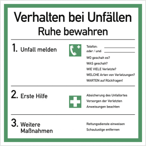Dreifke&reg; Schild Verhalten bei Unf&auml;llen ISO 7010, Kunststoff, 180x180 mm