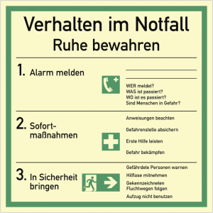Dreifke&reg; Aufkleber Verhalten im Notfall ISO 7010, Folie, langnachleuchtend, 1...