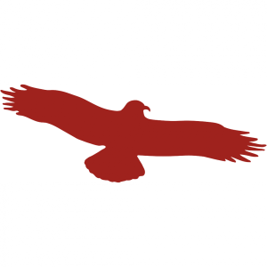 Dreifke&reg; Aufkleber Piktogramm Vogel einzeln rot, Folie, 330x130 mm