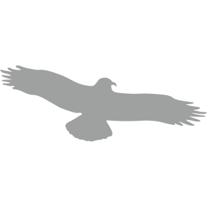 Dreifke&reg; Aufkleber Piktogramm Vogel einzeln grau, Folie, 330x130 mm
