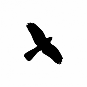 Dreifke&reg; Vogelschutz Aufkleber f&uuml;r Fenster | Folie selbstklebend | 350x230 mm...