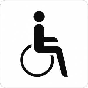 Dreifke&reg; Schild Piktogramm WC Behinderte/barrierefrei, Kunststoff, 160x160 mm