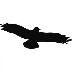 Dreifke&reg; Aufkleber Piktogramm Vogel einzeln schwarz, Folie, 475x175 mm