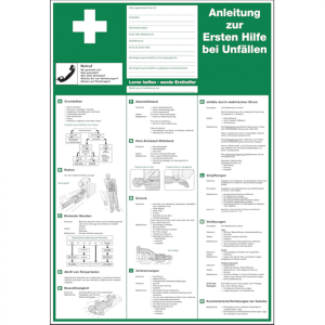 Dreifke&reg; Aushang, Anleitung zur Ersten Hilfe bei Unf&auml;llen - verschiedene Spra...