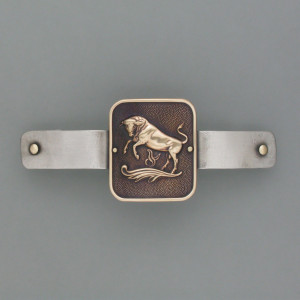Haarspange Sternzeichen Stier - Messing - gold - aktuell - geschwärzt