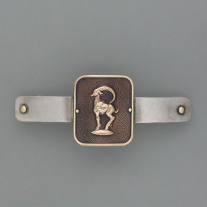Haarspange Sternzeichen Steinbock - Messing - gold - aktuell