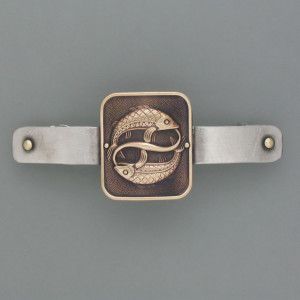 Haarspange Sternzeichen Fisch - Messing - gold - aktuell - geschwärzt