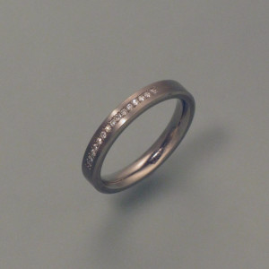 Titan-Ring mit 15 Brillanten