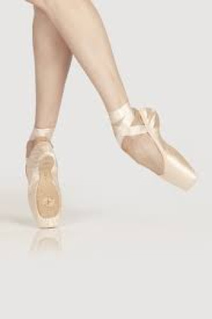 Wear Moi Omega Pointe Medium