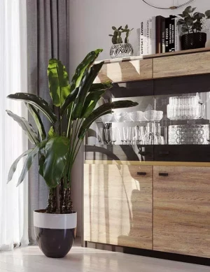 Moderne Vitrine wersal eik / svart Belize BZ-04