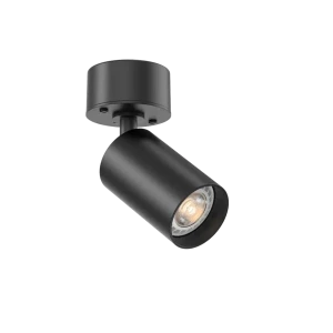 Tubular 50 Surface Mounted (Finish: Black) (Finish: Black)
