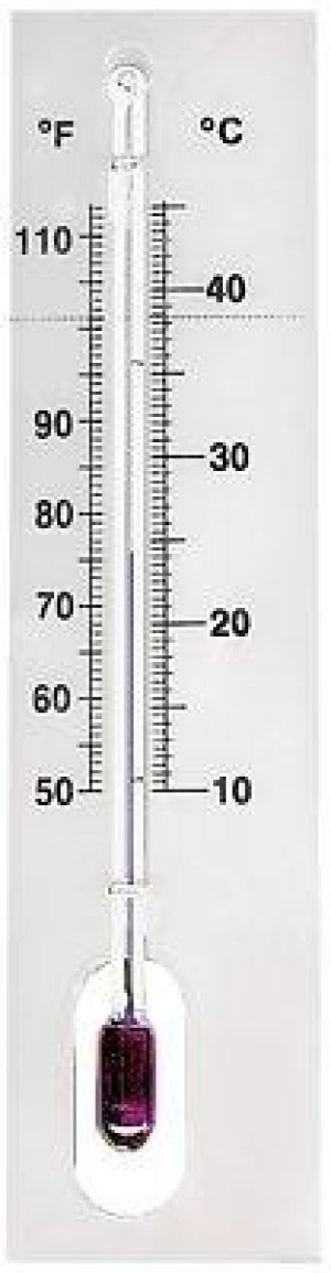 Brutthermometer für Flächenbrüter