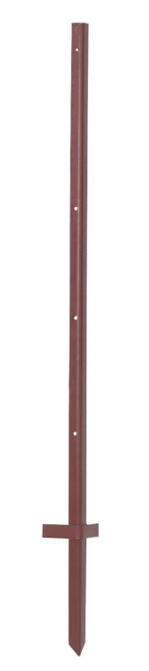 Winkeleisenpfähle 2 mm stark